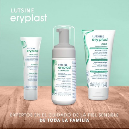 E45 LUTSINE ERYPLAST CALM MOUSSE ESPUMA ANTI-PICOR 100 ML