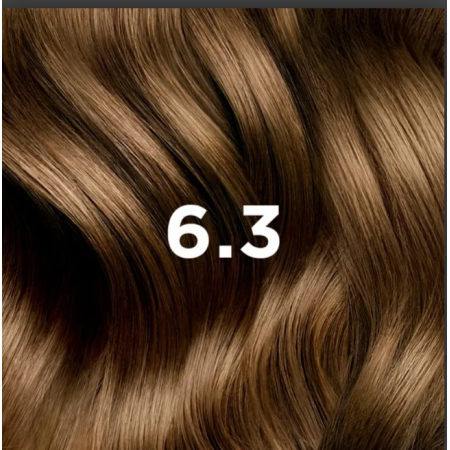 PHYTO COLOR TINTE 6.3 RUBIO OSCURO DORADO