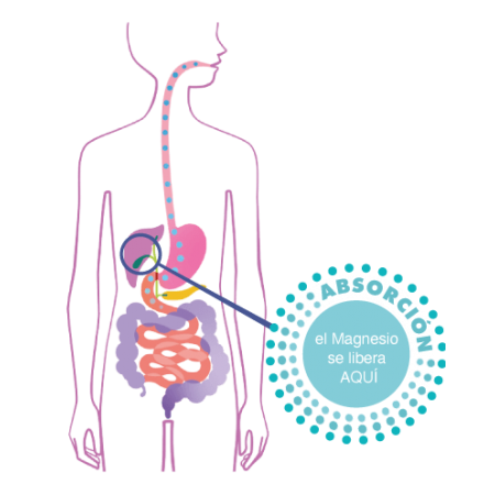 CETILAR ULTRAMAG 20 SOBRES 4 G