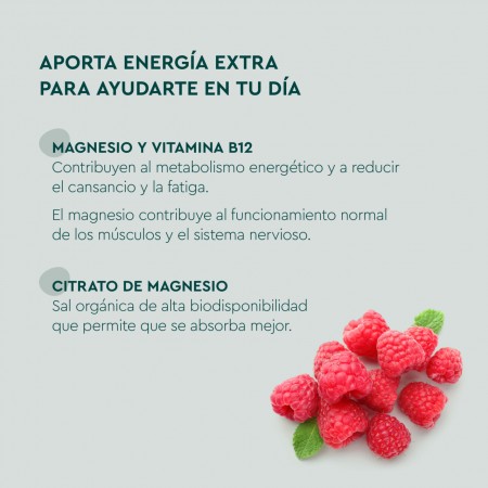 KNEIPP MAGNESIO ENERGIA 60 CARAMELOS DE GOMA SABOR FRAMBUESA