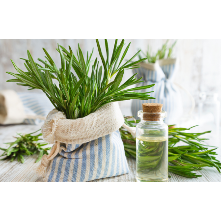 ALVITA ALCOHOL DE ROMERO 1 ENVASE 250 ML