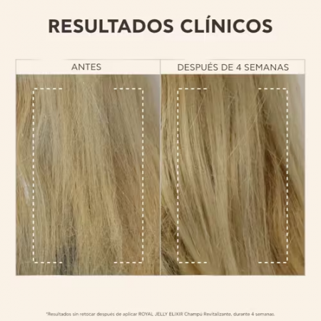 APIVITA ROYAL JELLY ELIXIR CHAMPU REVITALIZANTE 250 ML