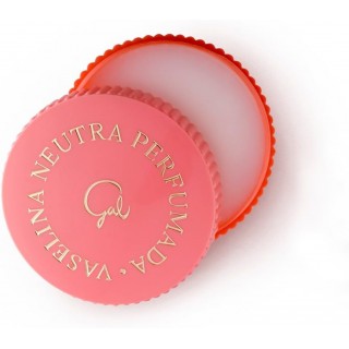 VASELINA GAL NEUTRA PERFUMADA GRANDE 40 ML