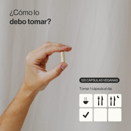 ZENEMENT EXTRACTO DE MELENA DE LEON ECOLOGICO 120 CAPSULAS VEGANAS