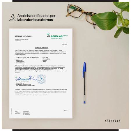 ZENEMENT NAC & LIPOSOMAL L-GLUTATHIONE REDUCIDO 120 CAPSULAS DE LIBERACION PROLONGADA VEGANAS