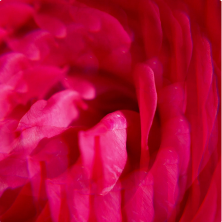 ROGER & GALLET AGUA PERFUMADA DE BIENESTAR GINGEMBRE ROUGE 30 ML