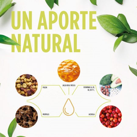 JELLY KIDS PREVENT SABOR A FRESA SOLUCION ORAL 250 ML