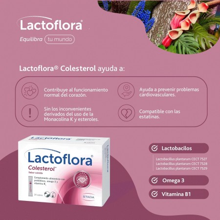 LACTOFLORA COLESTEROL 30 SOBRES SABOR VAINILLA