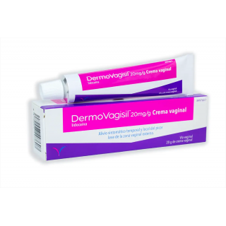 DERMOVAGISIL 20 MG/G CON LIDOCAINA CREMA VAGINAL 20 G