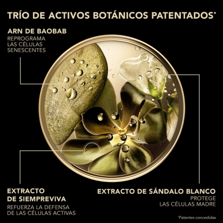 LIERAC PREMIUM ECO RECARGA CREMA SEDOSA 50 ML