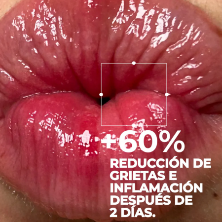 SEGLE REPAIR LIP BALM VOLUME & FILLER MULLED WINE BALSAMO LABIAL CON COLOR 10ML