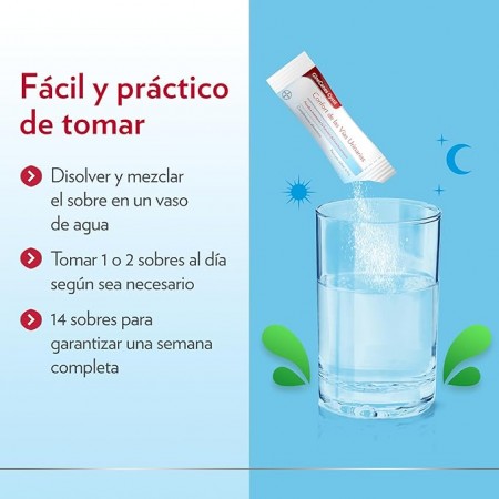 GINECANES CYSTIL14 SOBRES