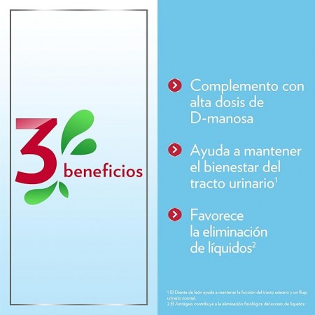 GINECANES CYSTIL14 SOBRES
