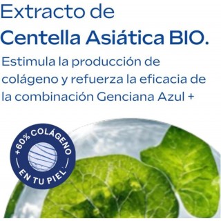 WELEDA CREMA DE NOCHE REDENSIFICANTE DE GENCIANA AZUL Y EDELWEISS 1 TARRO 40 ML