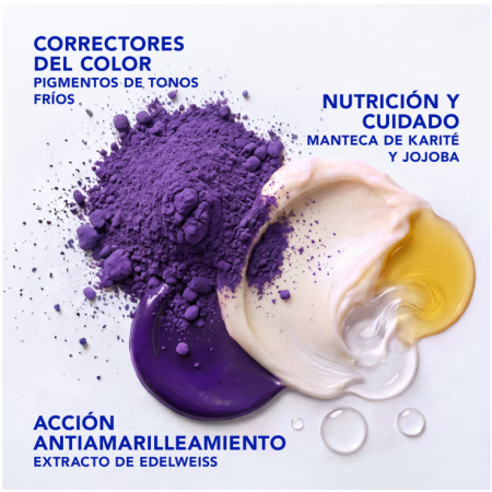 PHYTO MASCARILLA COLOR GLOSS SON VIOLET 200ML